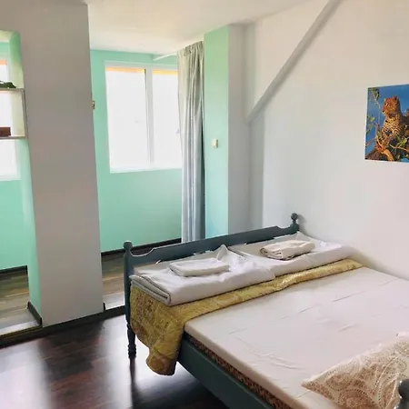Apartment Kokiche *