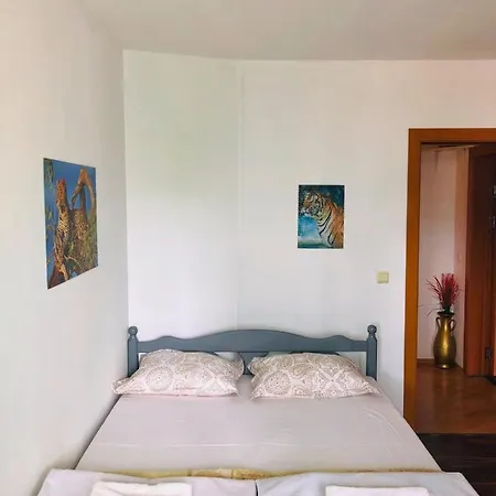 Apartment Kokiche